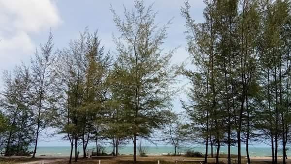 Paka Tamim Seaview Hotel מראה חיצוני תמונה